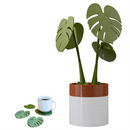 B17B Monstera Plant Coasters Set 3D Printed, Waterproof&Anti-Scald Plant Coasters, Funny 3D Printed Coasters Magnetically A