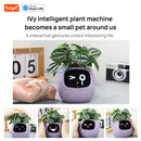 Ivy Tuya Smart Planter,Endless Fun Over 49 Rich Expressions,7 smart sensors,AI Chips Make Raising Plants Easy and Fun