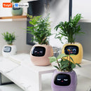 Ivy Tuya Smart Planter,Endless Fun Over 49 Rich Expressions,7 smart sensors,AI Chips Make Raising Plants Easy and Fun