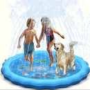 Outdoor Pet Bath Basin with Sprayer