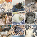 Furry Blanket - serves as a bed for your pet