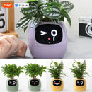 Ivy Tuya Smart Planter,Endless Fun Over 49 Rich Expressions,7 smart sensors,AI Chips Make Raising Plants Easy and Fun