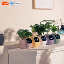 Ivy Tuya Smart Planter,Endless Fun Over 49 Rich Expressions,7 smart sensors,AI Chips Make Raising Plants Easy and Fun