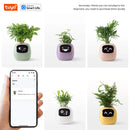 Ivy Tuya Smart Planter,Endless Fun Over 49 Rich Expressions,7 smart sensors,AI Chips Make Raising Plants Easy and Fun
