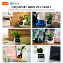 Ivy Tuya Smart Planter,Endless Fun Over 49 Rich Expressions,7 smart sensors,AI Chips Make Raising Plants Easy and Fun