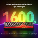 Win60HE Magnetic Switch Wired M